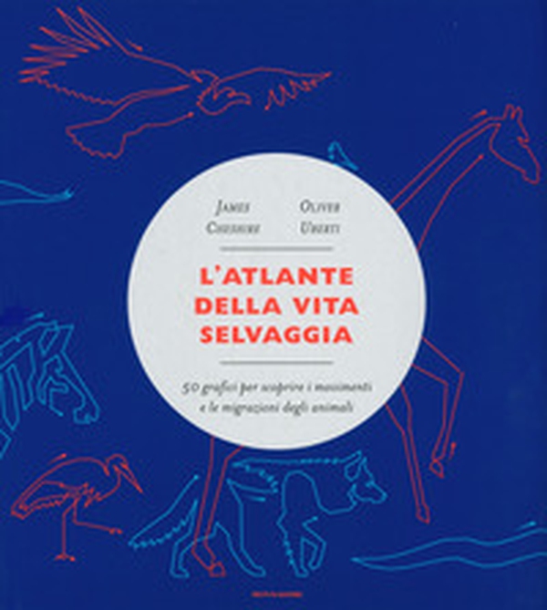 L'atlante della vita selvaggia. 50 grafici per scoprire i movimenti e le migrazioni degli animali - Librerie.coop L'atlante della vita selvaggia. 50 grafici per scoprire i movimenti e le migrazioni degli animali - Librerie.coop