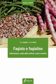 Fagiolo e fagiolino. Coltivazione, scelta delle cultivar e post-raccolta - Librerie.coop Fagiolo e fagiolino. Coltivazione, scelta delle cultivar e post-raccolta - Librerie.coop