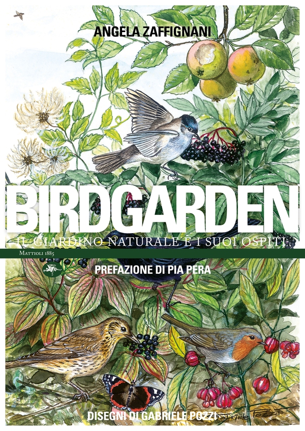 Birdgarden – Il giardino naturale e i suoi ospiti - Librerie.coop Birdgarden – Il giardino naturale e i suoi ospiti - Librerie.coop