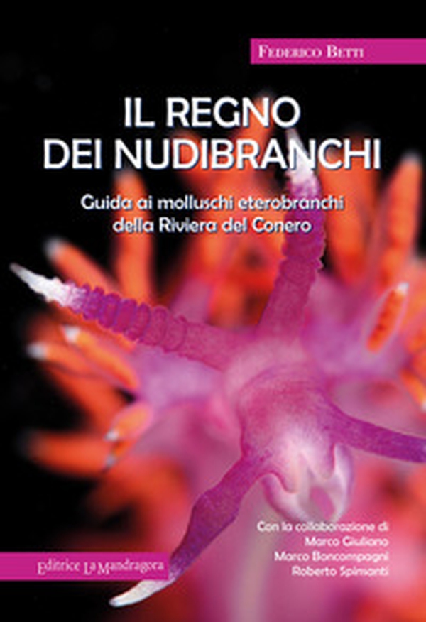 Il regno dei nubibranchi. Guida ai molluschi opistobranchi della riviera del Conero - Librerie.coop Il regno dei nubibranchi. Guida ai molluschi opistobranchi della riviera del Conero - Librerie.coop