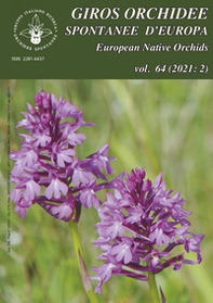 Giros. Orchidee spontanee d'Europa-European native orchids - Vol. 2 - Librerie.coop