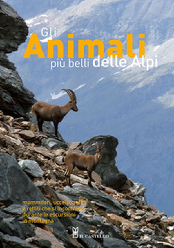 Gli animali più belli delle Alpi. Mammiferi, uccelli, anfibi e rettili che si incontrano durante le escursioni in montagna - Librerie.coop Gli animali più belli delle Alpi. Mammiferi, uccelli, anfibi e rettili che si incontrano durante le escursioni in montagna - Librerie.coop