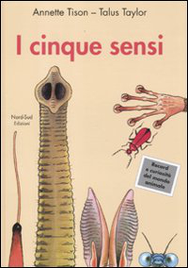 I cinque sensi - Librerie.coop I cinque sensi - Librerie.coop
