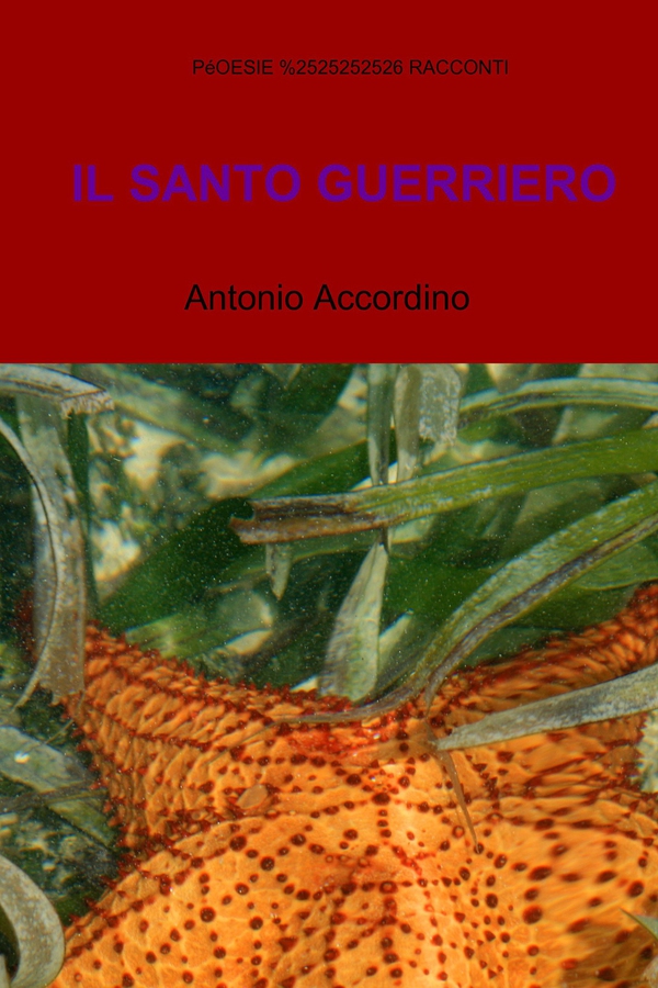 IL SANTO GUERRIERO - Librerie.coop IL SANTO GUERRIERO - Librerie.coop