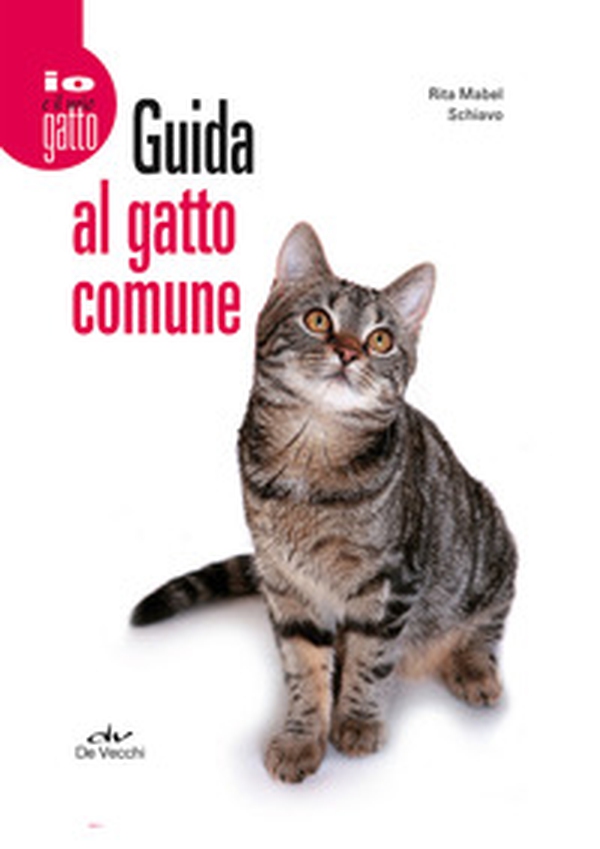 Guida al gatto comune - Librerie.coop Guida al gatto comune - Librerie.coop