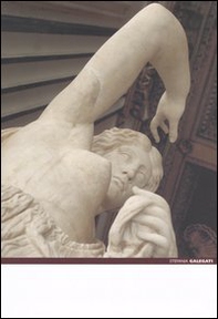 Stefania Galegati. Catalogo della mostra (Roma, 8 giugno-18 settembre 2005). Ediz. italiana e inglese - Librerie.coop