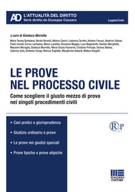 Le prove nel processo civile. Come scegliere il giusto mezzo di prova nei singoli procedimenti civili - Librerie.coop