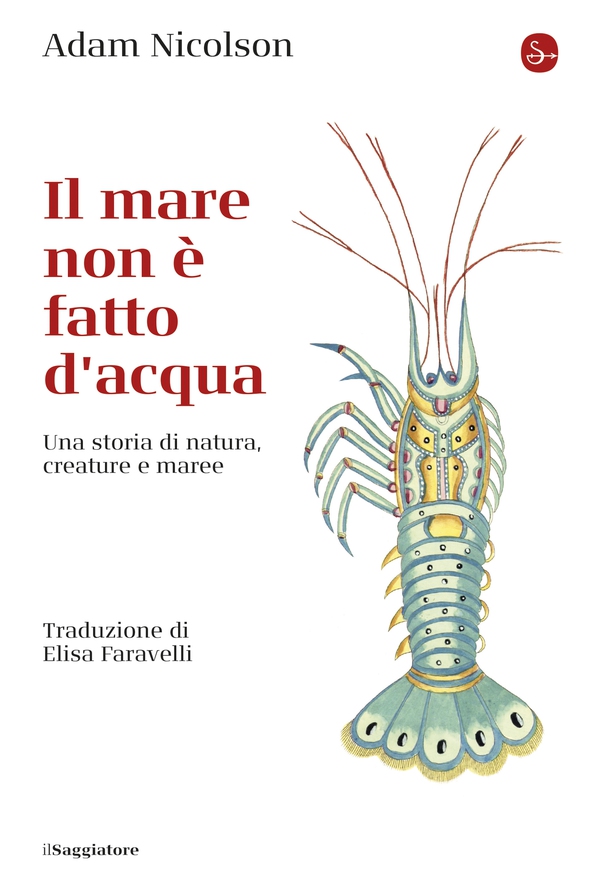 Il mare non è fatto di acqua - Librerie.coop