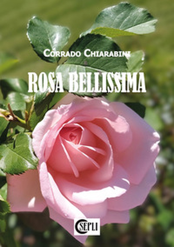 Rosa bellissima - Librerie.coop