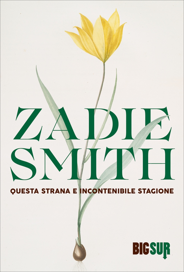 Questa strana e incontenibile stagione - Librerie.coop Questa strana e incontenibile stagione - Librerie.coop