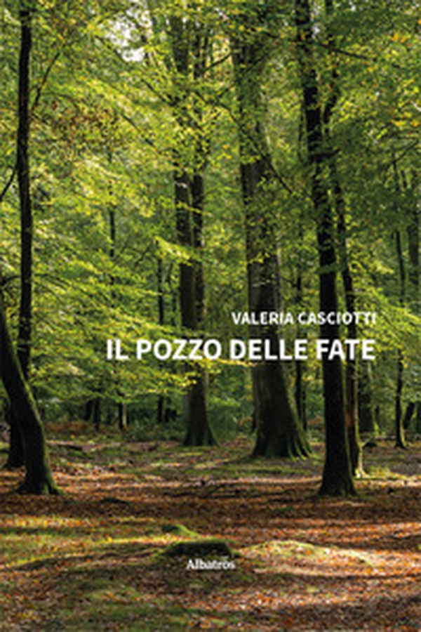 Il pozzo delle fate - Librerie.coop Il pozzo delle fate - Librerie.coop