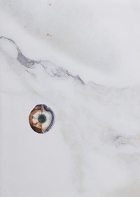 Honesty of matter - Librerie.coop