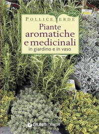 Piante aromatiche e medicinali in giardino e in vaso - Librerie.coop Piante aromatiche e medicinali in giardino e in vaso - Librerie.coop