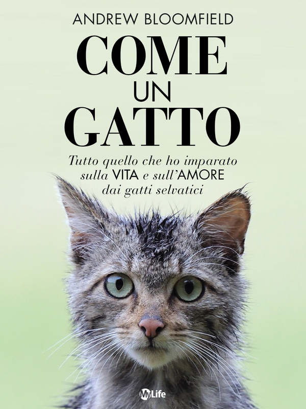 Come un Gatto - Librerie.coop Come un Gatto - Librerie.coop