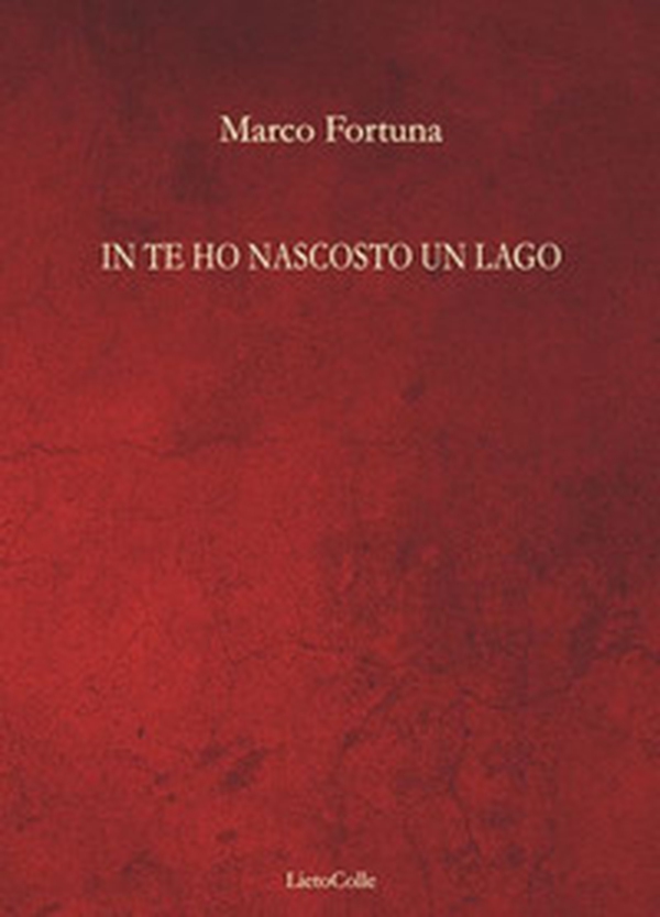 In te ho nascosto un lago - Librerie.coop In te ho nascosto un lago - Librerie.coop