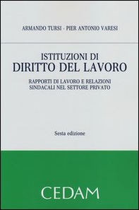 Istituzioni di diritto del lavoro. Rapporti di lavoro e relazioni sindacali nel settore privato - Librerie.coop