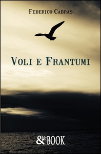 Voli e frantumi - Librerie.coop