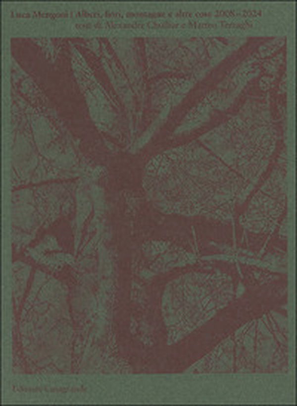 Alberi, fiori, montagne e altre cose. Ediz. italiana e francese - Librerie.coop Alberi, fiori, montagne e altre cose. Ediz. italiana e francese - Librerie.coop