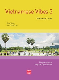 Vietnamese Vibes 3. Advanced level - Librerie.coop