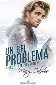 Un bel problema - Librerie.coop