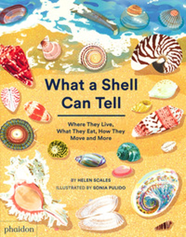 What a shell can tell. Where they live, what they eat, how they move and more - Librerie.coop What a shell can tell. Where they live, what they eat, how they move and more - Librerie.coop