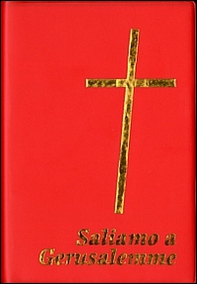 Saliamo a Gerusalemme. Con cartina - Librerie.coop