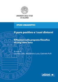 Il puro positivo e i suoi dintorni. Riflessioni sulla proposta filosofica di Luigi Vero Tarca - Librerie.coop