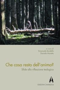 Che cosa resta dell'anima? Sfide alla riflessione teologica - Librerie.coop Che cosa resta dell'anima? Sfide alla riflessione teologica - Librerie.coop
