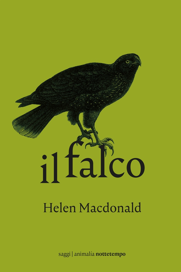 Il falco - Librerie.coop Il falco - Librerie.coop
