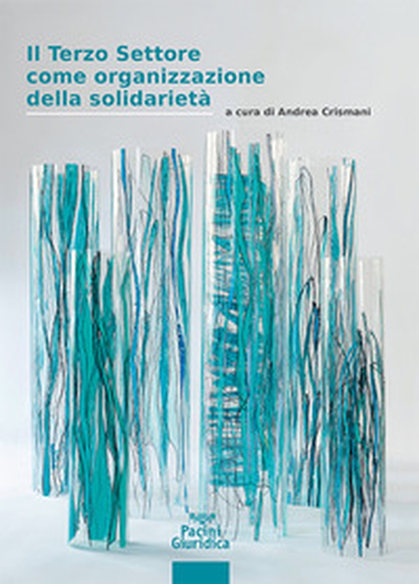 Il terzo settore come organizzazione della solidarietà - Librerie.coop