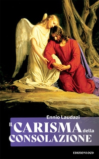 Il carisma della consolazione - Librerie.coop