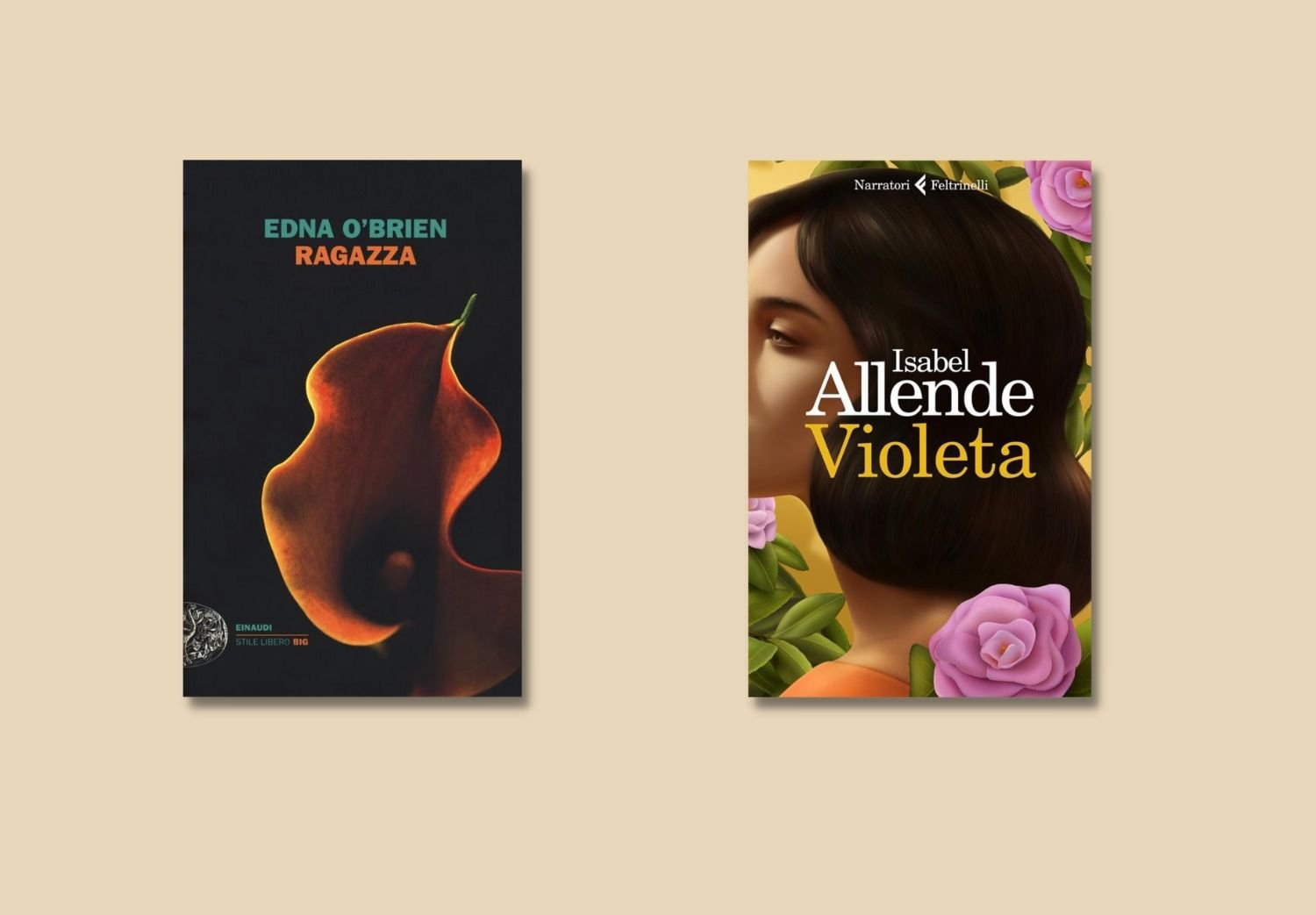 Libri e scrittrici nella storia