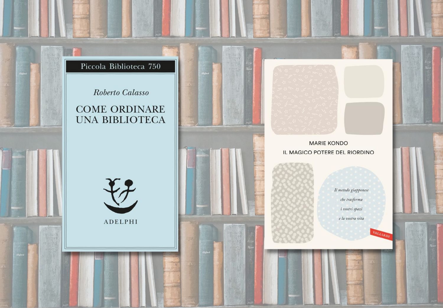 ordinare biblioteca in casa